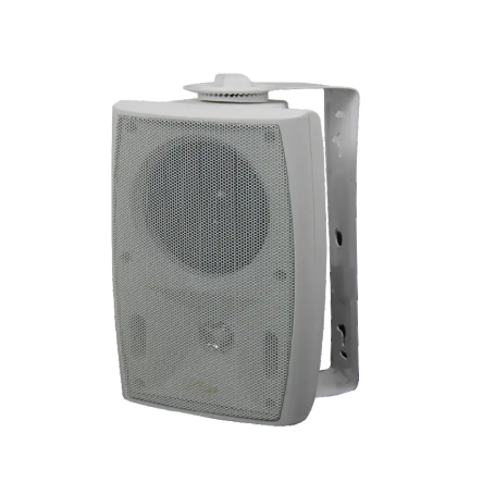AU-SFI30-W01 Enceinte murale 30W