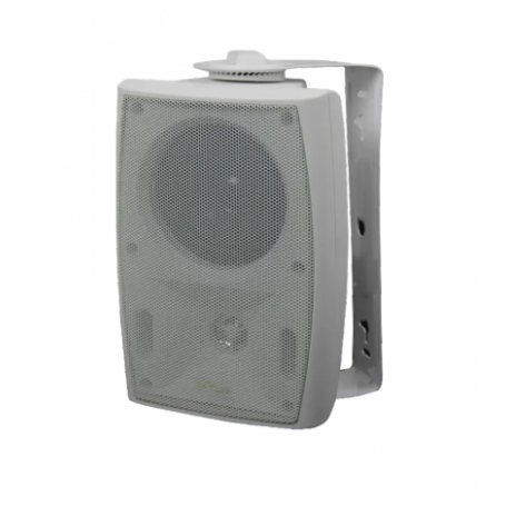 AU-SFI40-W01ENCEINTE MURALE 40W