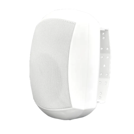 AU-SFI30-W02 Enceinte Murale 30W